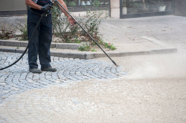 Best Graffiti Removal Services in Wahese, NC